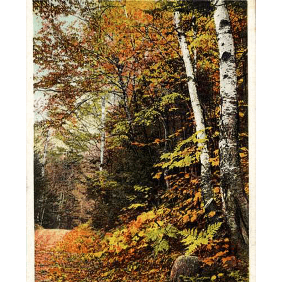 AUTUMN AIR
