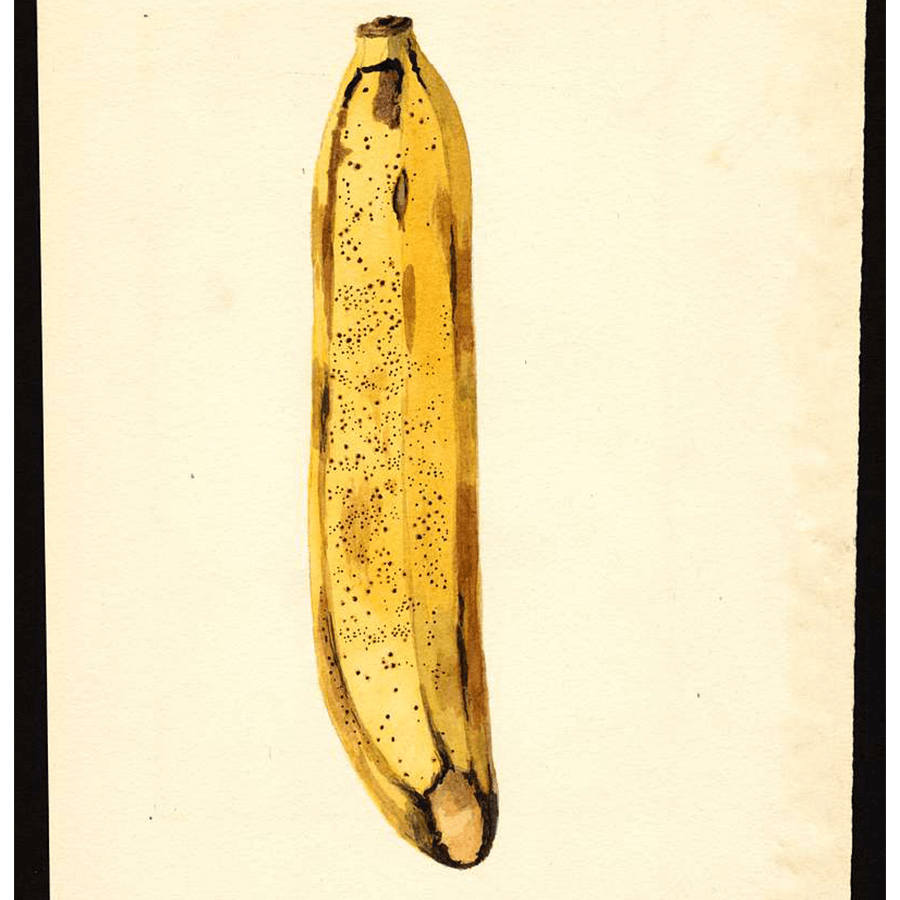 BANANA-FANA