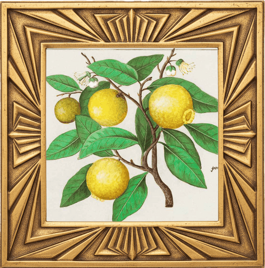 LEMON GROVE fragrance oil