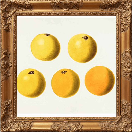 SPARKLING BERGAMOT fragrance oil