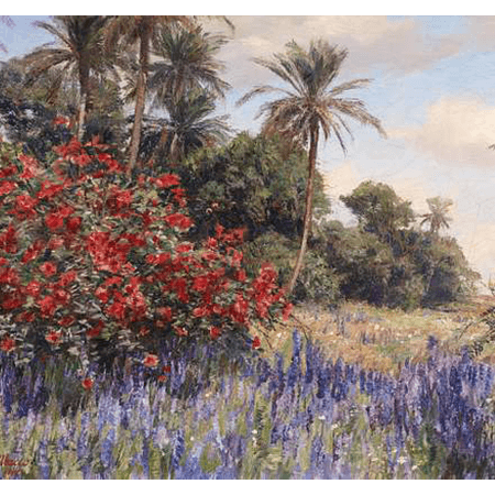 DESERT LAVENDER
