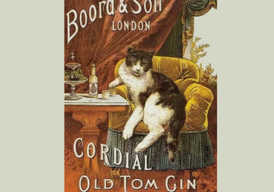 Gin & Juice