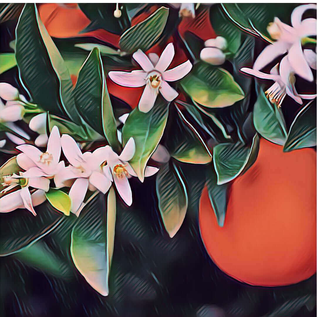 Summertime Soliloquy