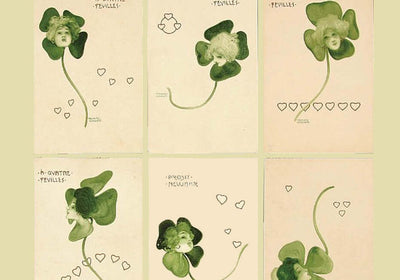 Shamrock Surprise
