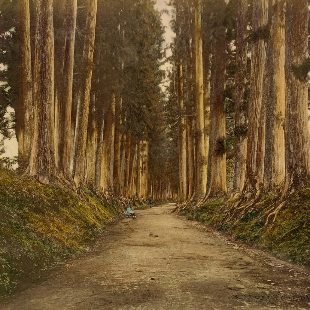 The Path Less Traveled