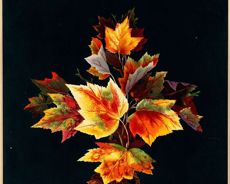 A vertical arrangement of colorful autumn maple leaves in shades of orange, yellow, red, and green, set against a solid black background with a thin beige border.