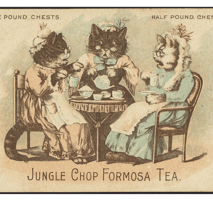 Vintage illustration of three cats enjoying tea, promoting Jungle Chop Formosa Tea.