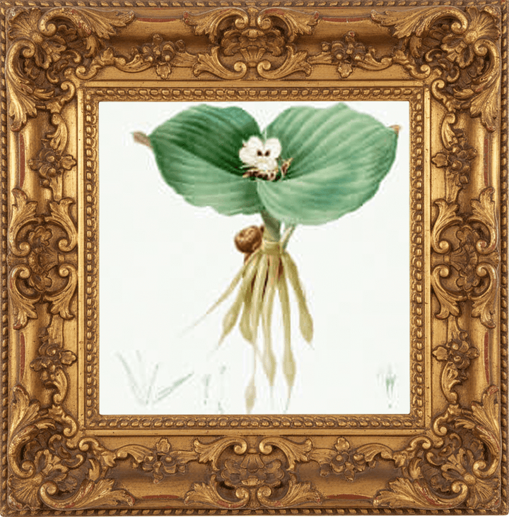 3.5 LB SPECIAL BUY FRAGRANCE OIL