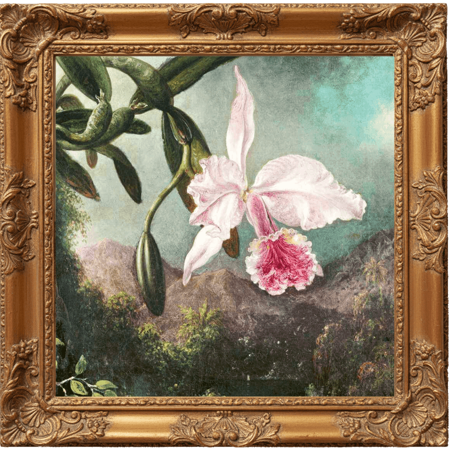 EXOTIC ORCHID AND MUSK fragrance oil
