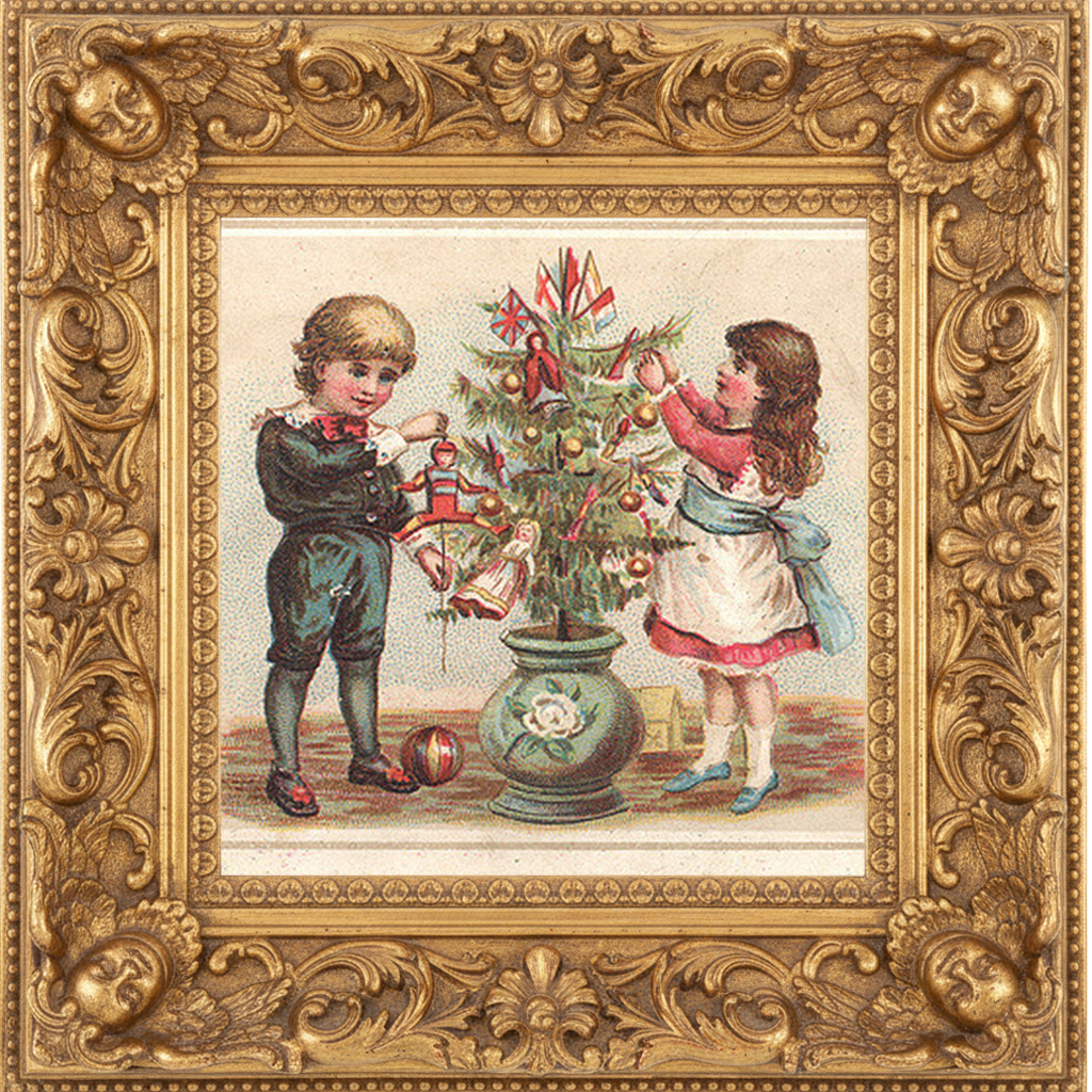 FRASIER FIR fragrance oil