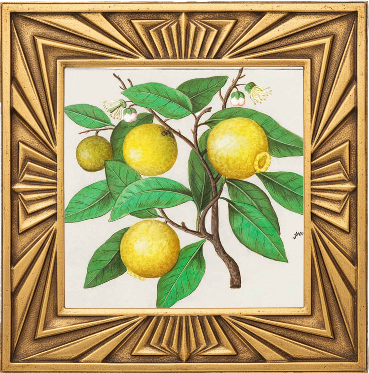 LEMON GROVE fragrance oil