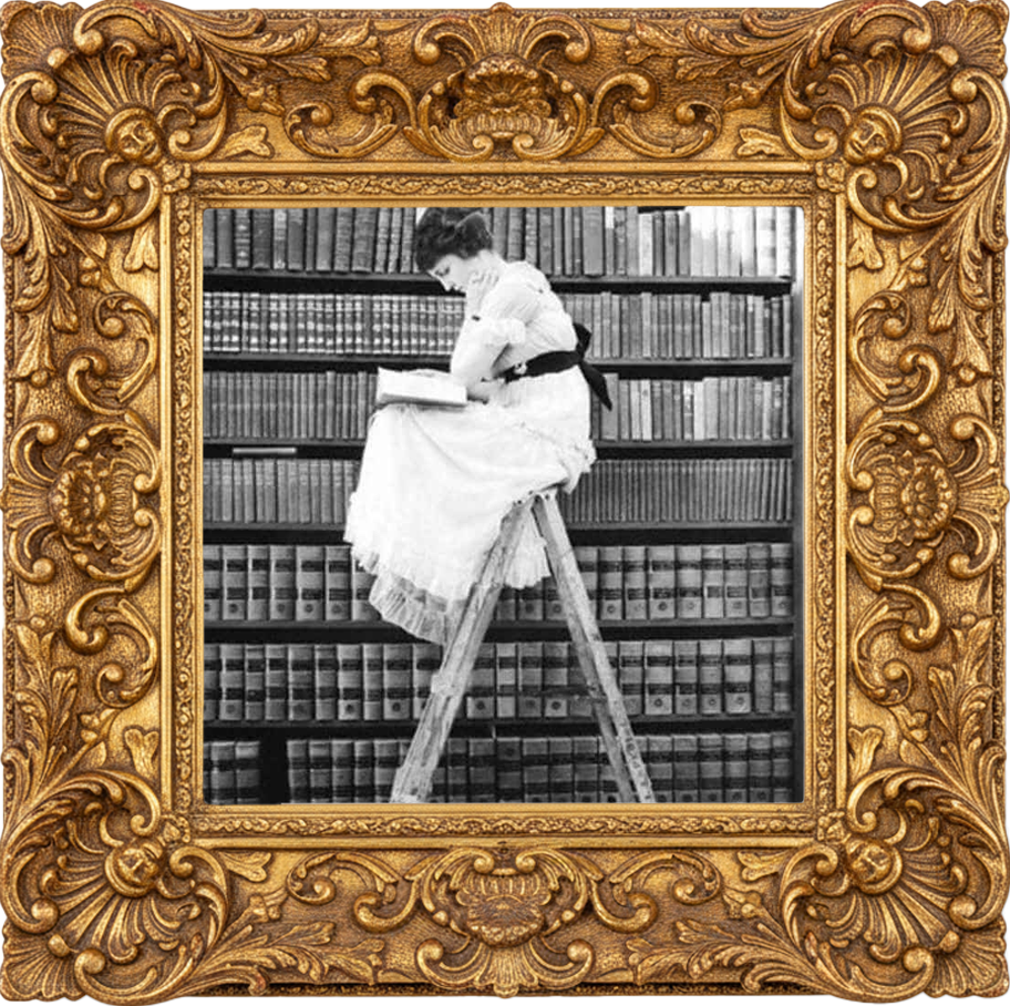 LOST IN THE STACKS fragrance oil