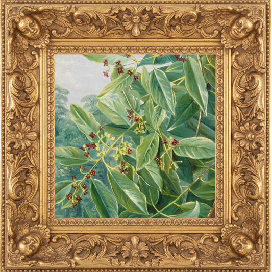 SANTAL ROYALE fragrance oil