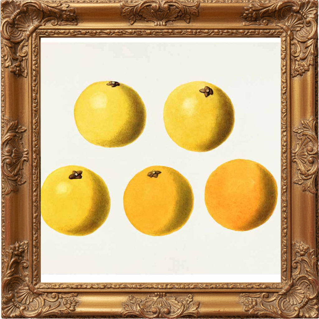 SPARKLING BERGAMOT fragrance oil
