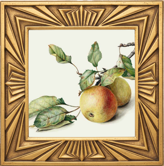 SPICE BAKED APPLE fragrance oil