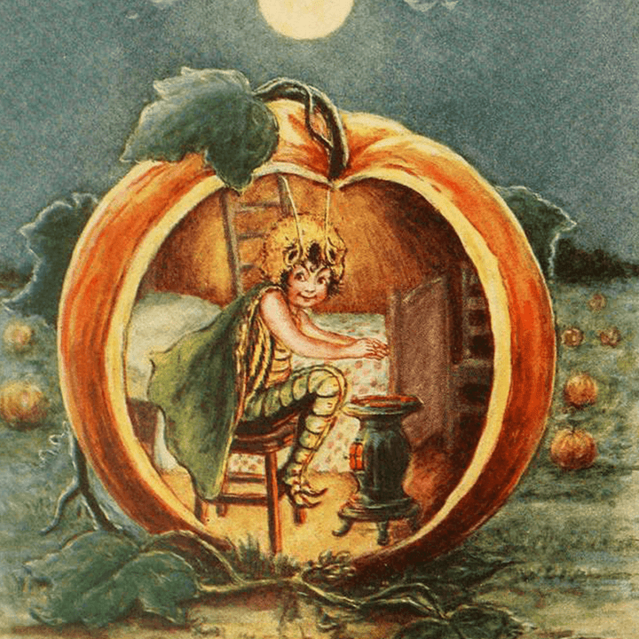 Fresh Pumpkin
